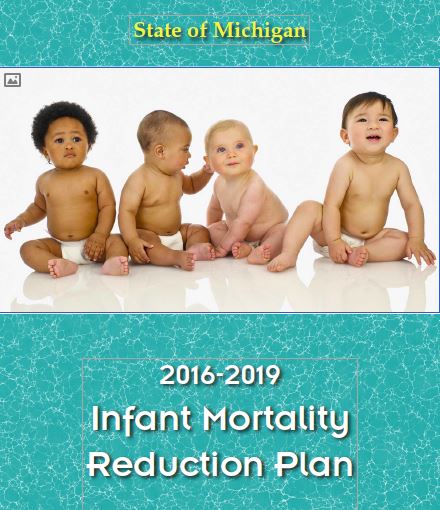 2016-2019 Infant Mortality Reduction Plan